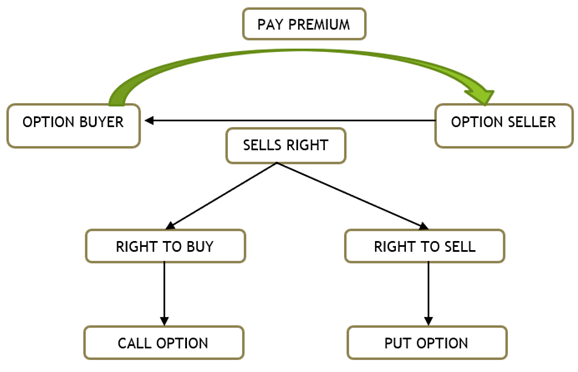 How Many Shares In An Option Contract