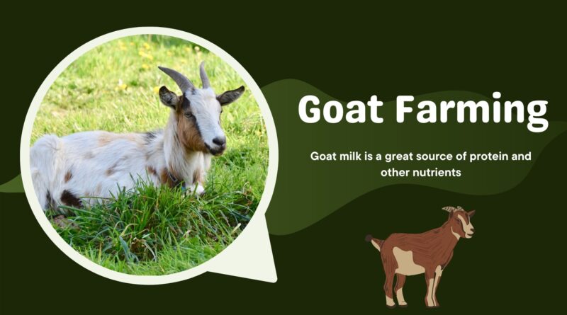 Goat Farming