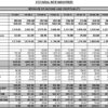 rice-mill-financial-projection Project Report for Rice Mill – Excel Format